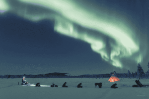 Kiruna dogsled - Northern Lights Husky Tour.jpg