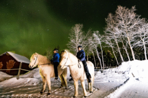 Ofelas - Northern lights tour on horseback