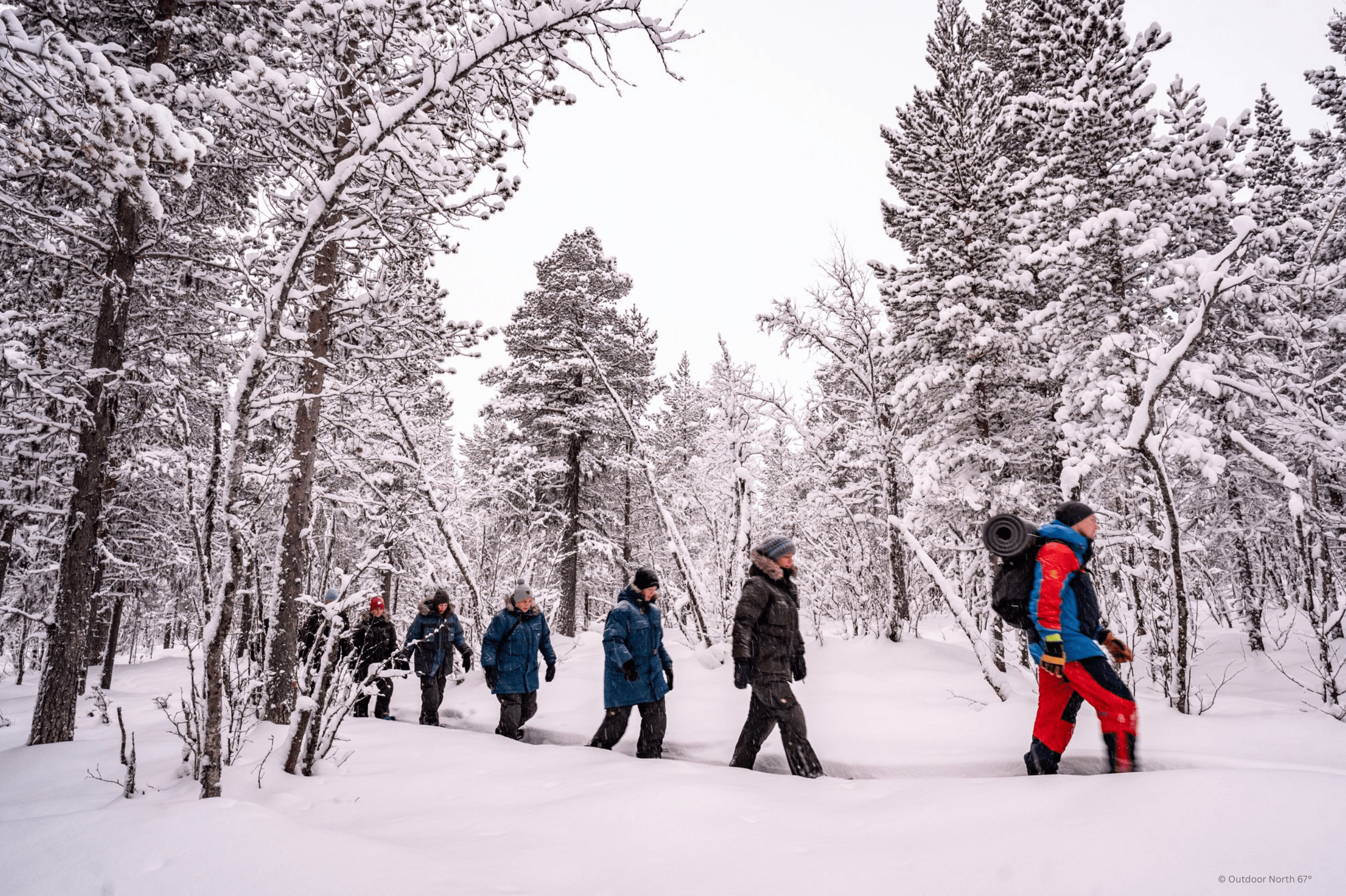 on67 Snowshoeing Winter Forest forest Kiruna