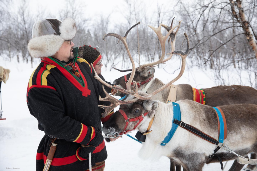 Giron Reindeer - Long Reindeer Sledding Excursion Sami Kiruna