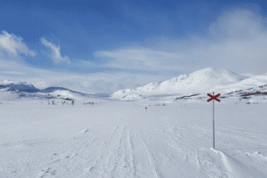 On67 - Snowshoeing in Abisko from Kiruna in Sweden
